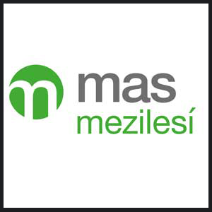 mas-metilesi